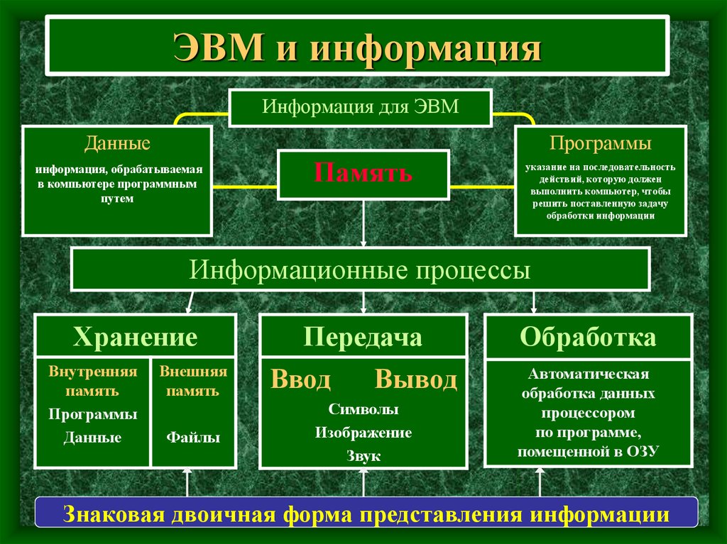 Представление программы. Обработка информации на ЭВМ. Информация ЭВМ. Формы представления информации в ЭВМ. Виды информации в ЭВМ.