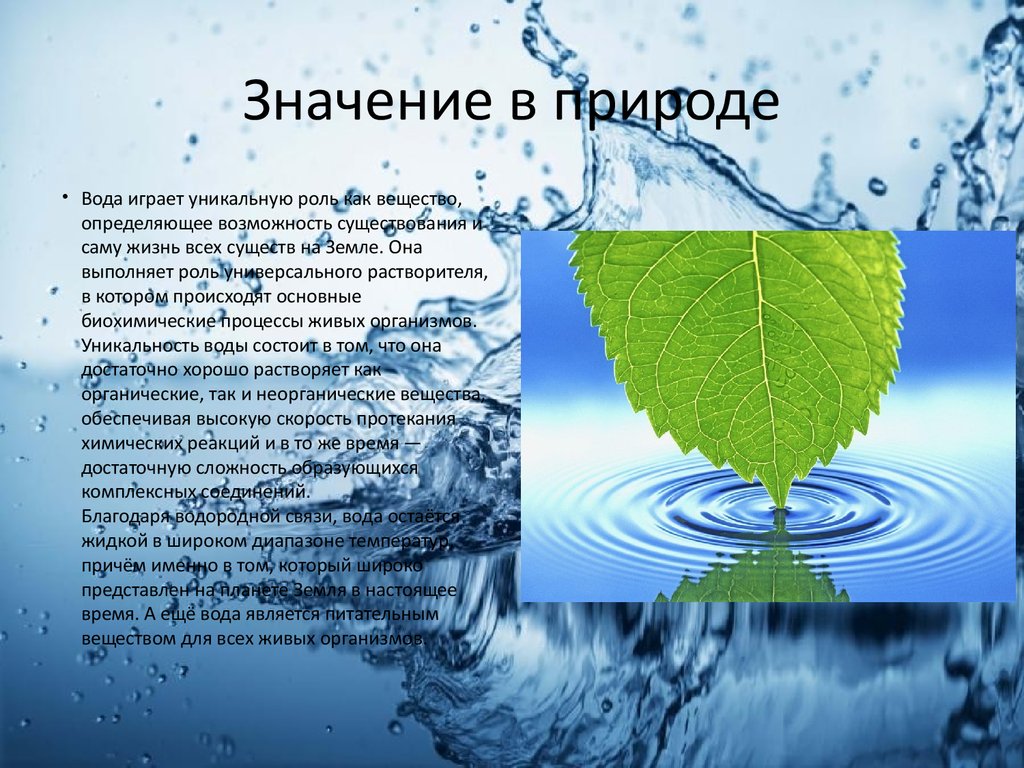 Экологические особенности воды