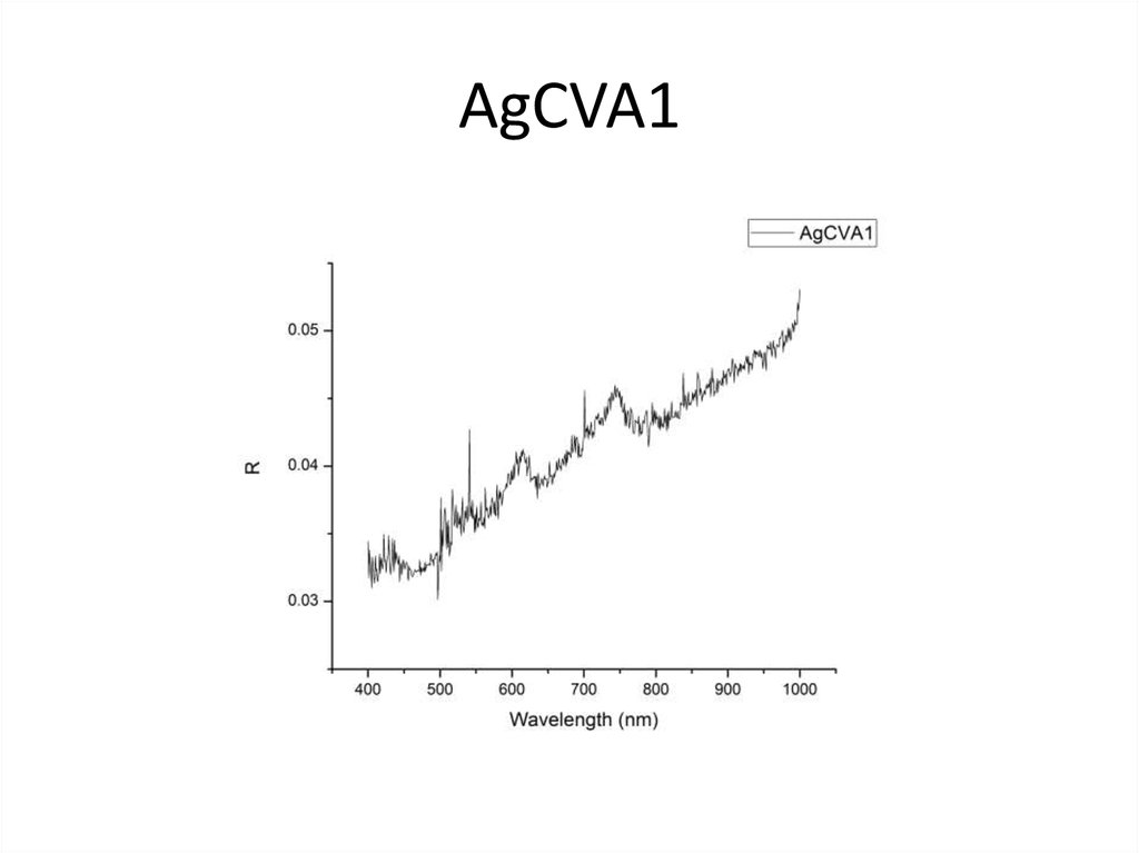 AgCVA1