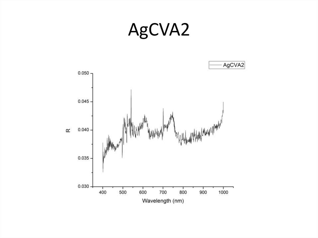 AgCVA2