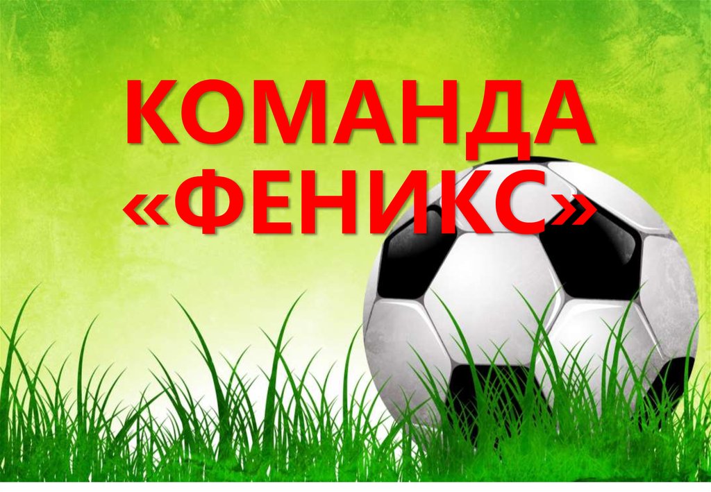 КОМАНДА «ФЕНИКС»