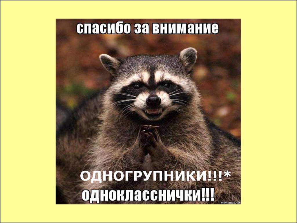 Внимание на меня. Спасибо за внимание для презентации прикольные. Спасибо за внимание смешные. Спасибо за внимание прикол. Спасибо за внимание енот.