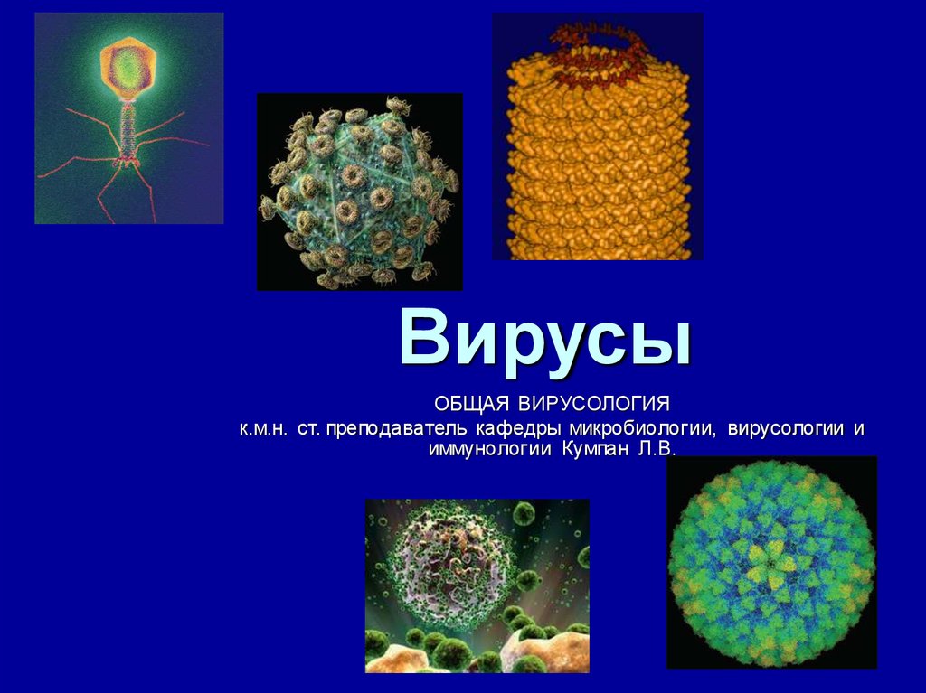 Вирусы примеры. Вирусология строение вируса. Вирусы по микробиологии. Вирусы презентация. Вирусология это в биологии.