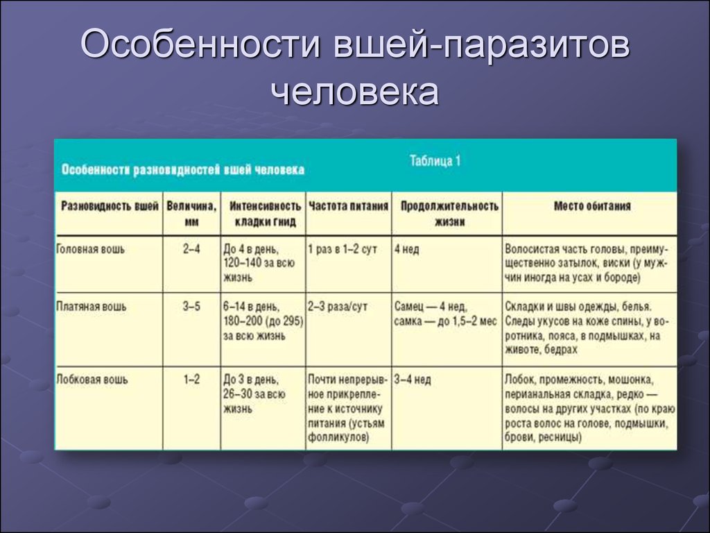 Паразиты таблица. Головная вошь способ обработки таблица. Вши характерные особенности. Особенности вшей. Особенности разновидностей вшей.