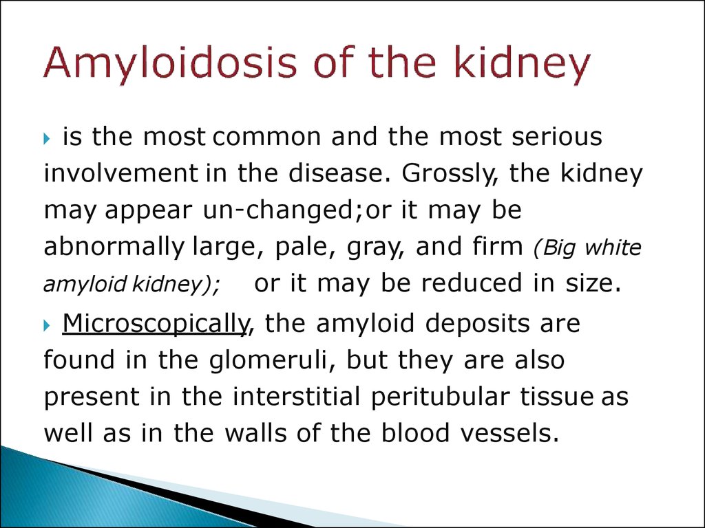 Amyloidosis of the kidney