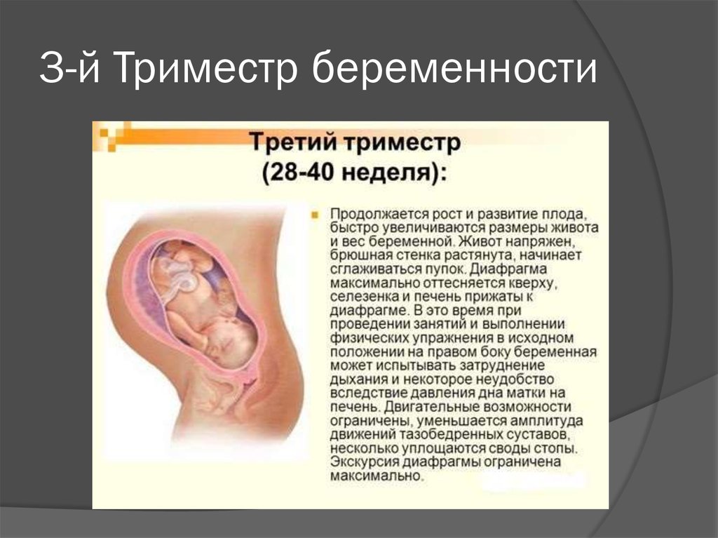 Что есть на первых неделях беременности. 3 Триместр беременности период. Первый второй и третий триместр беременности. Матка в 1 триместре беременности. Сроки 1 триместра беременности.