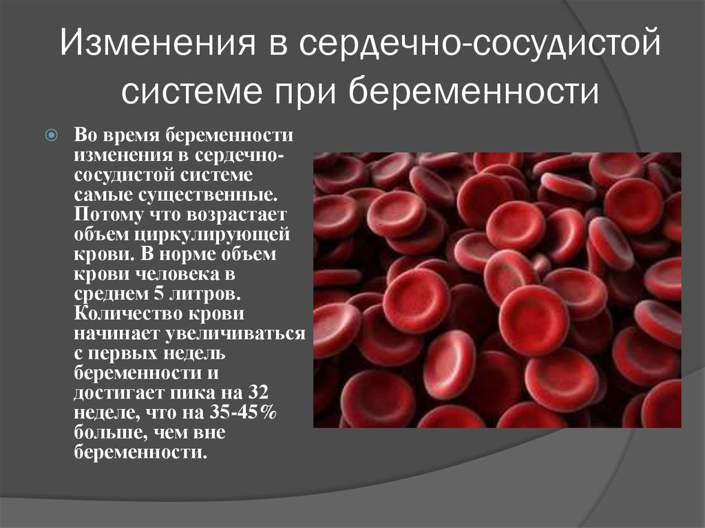 Сосудистые изменения. Изменения сердечно-сосудистой системы во время беременности. Сердечно-сосудистая система и беременность. Изменения сердечно сосудистой системы у беременных. Изменения в сердечно-сосудистой системе при нормальной беременности.