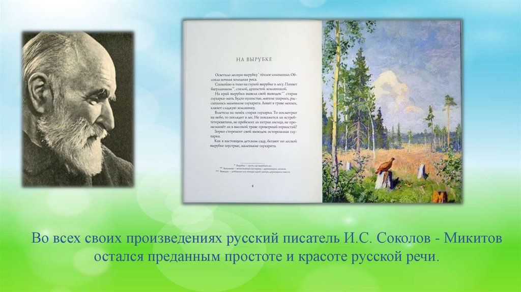 Как представляет свою родину соколов микитов какие факты сообщает прочитайте дополните схему