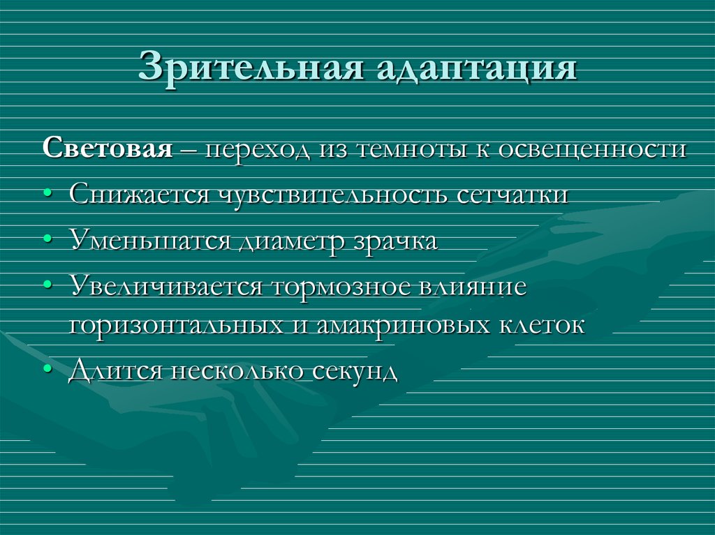 Темная адаптация. Механизм зрительной адаптации. Адаптация зрительного анализатора. Зрительная адаптация физиология. Механизмы световой и Темновой адаптации зрительного анализатора.