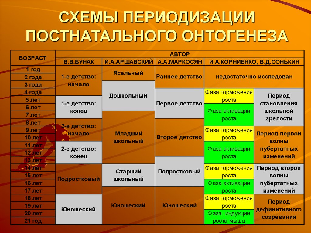 Периоды школа. Схема Возраст возрастная периодизация. Схема возрастной периодизации. Схема возрастной периодизации человека. Этапы возрастной периодизации.