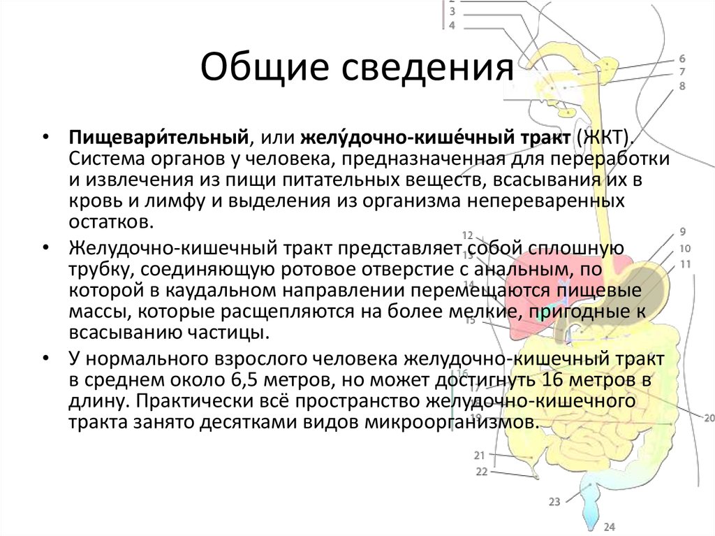 Общие сведения