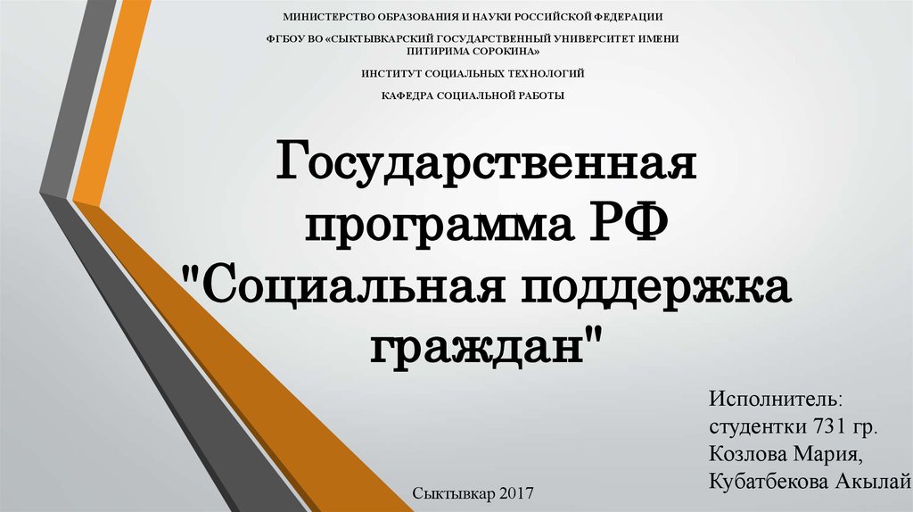 Проект социальная поддержка граждан