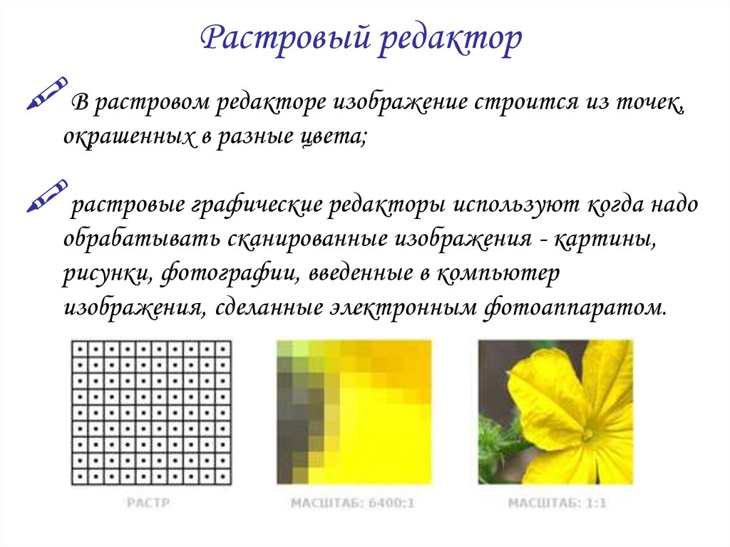 Растровый редактор