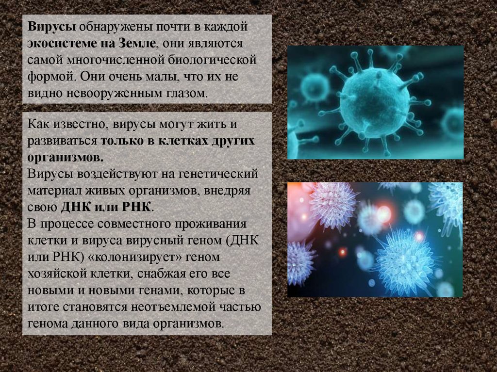 Есть ли у вирусов клетки. Вирус в организме. Эволюция вирусов. Роль вирусов в эволюции. Происхождение вирусов и бактерий.