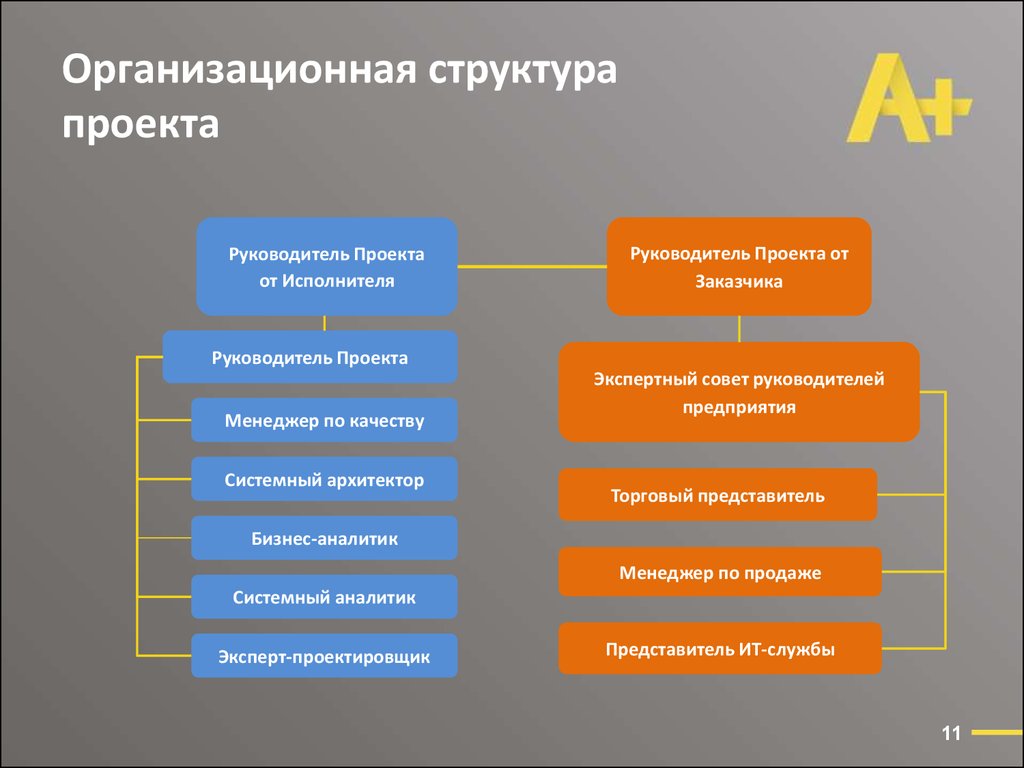 Структура команды проекта пример