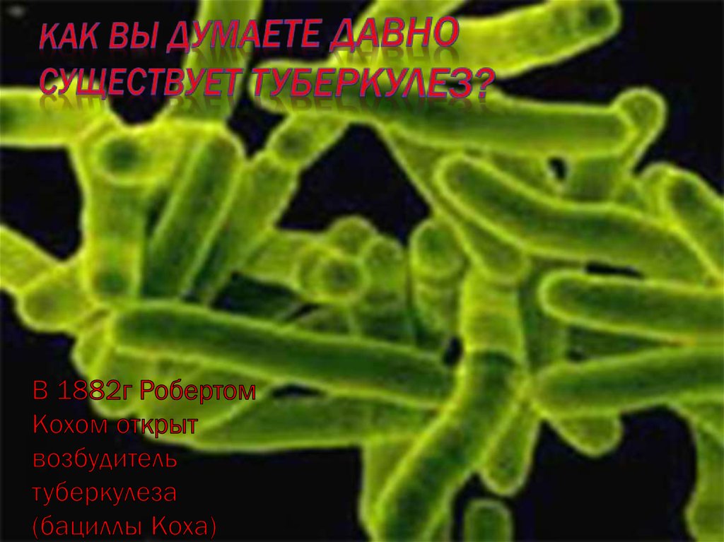 Как Вы думаете давно существует туберкулез?