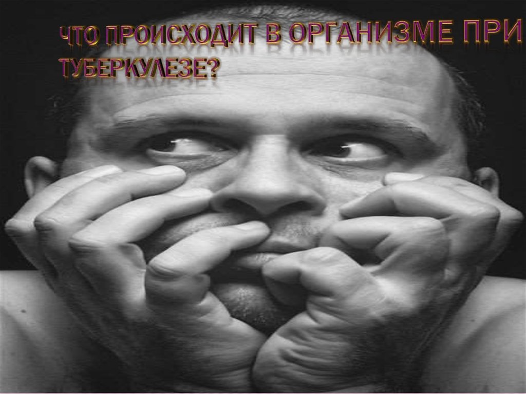 Что происходит в организме при туберкулезе?