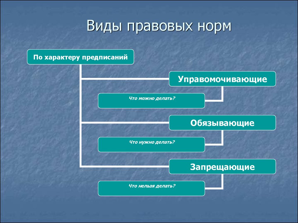 Деятельность правовых норм