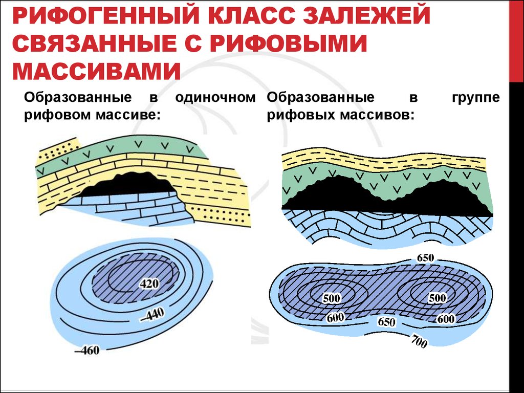 Рифогенный класс залежей Связанные с рифовыми массивами