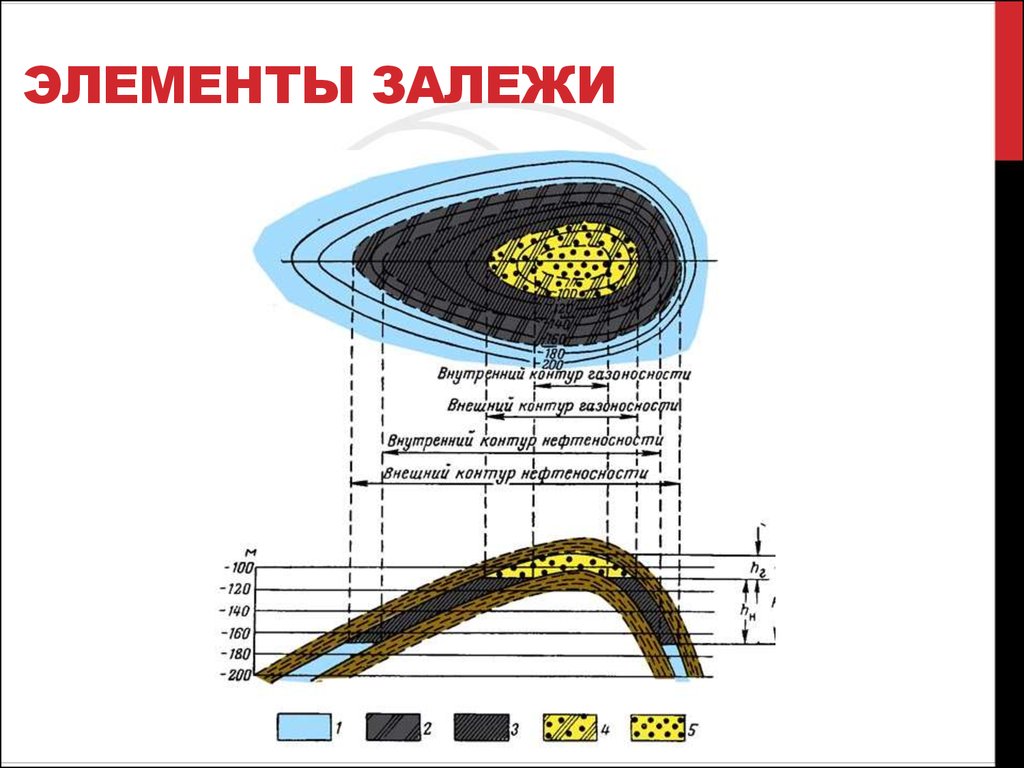 Внутренний контур. Внешний и внутренний контур нефтеносности. Схема пластовой сводовой залежи. Схема залежи нефти и газа. Залежь нефти схема.