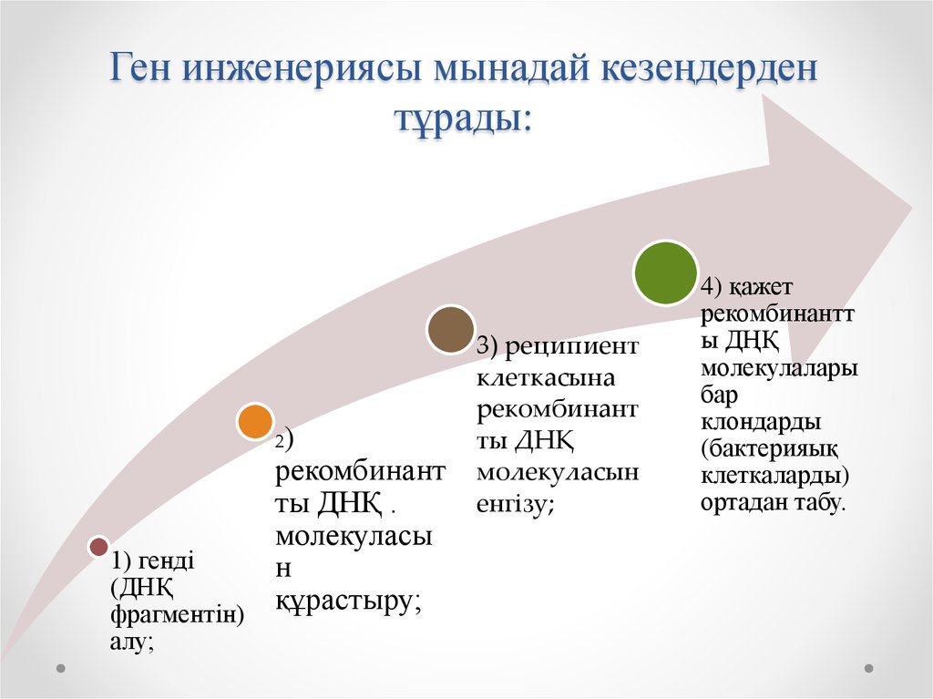 Ген инженериясы мынадай кезеңдерден тұрады: