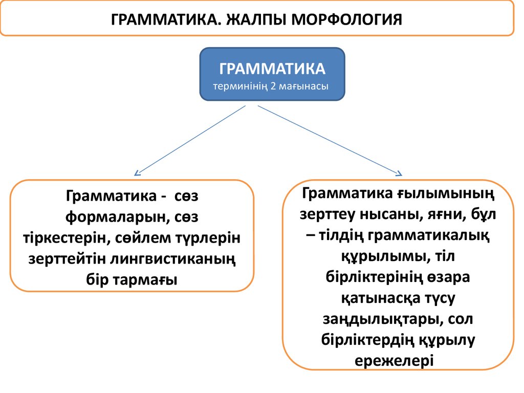 Морфология туралы презентация