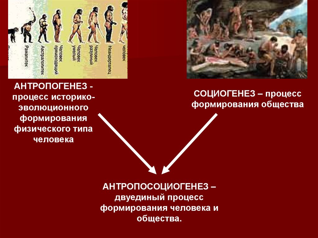 Происхождение человеческого общества презентация