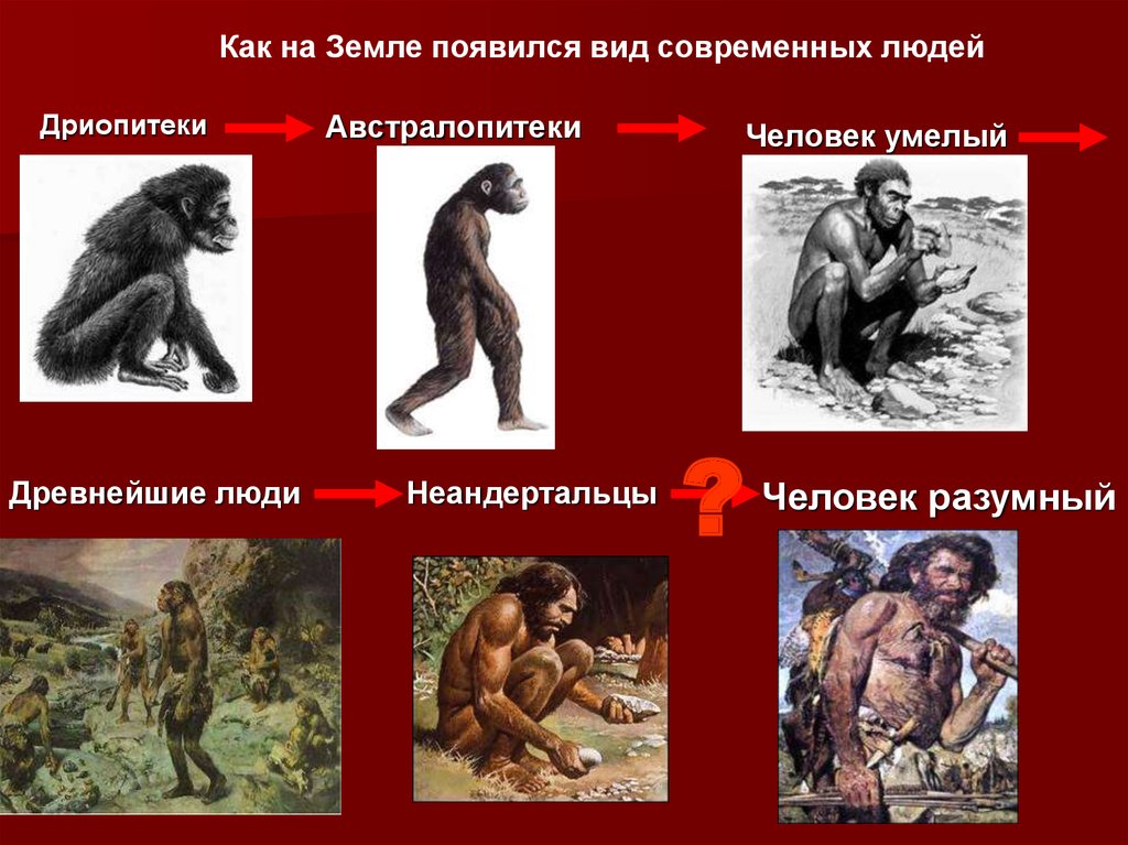 Человек на земле 5 класс биология. Как появился человек. Происхождение человека. Появление человека на земле. Первые люди появились.