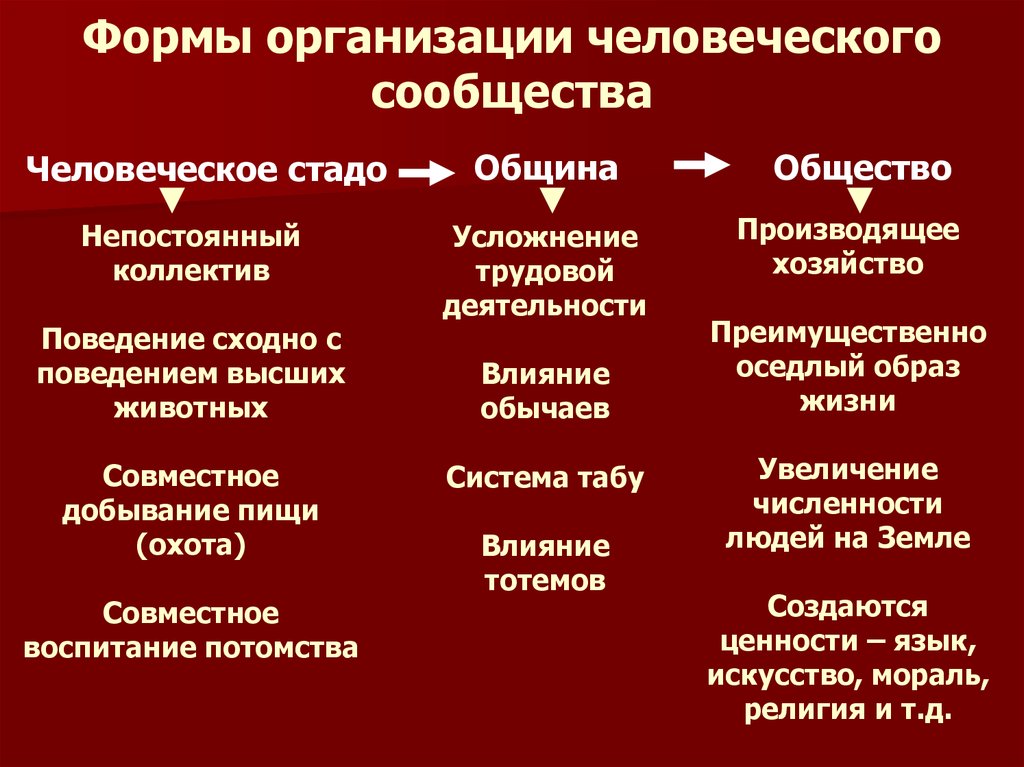 Древнейшие формы организации общества