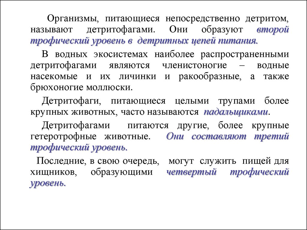 Реферат: Живые организмы мирового океана: детритофаги и редуценты