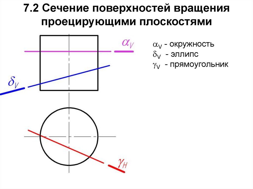 Экватором поверхности вращения показанной на чертеже является линия