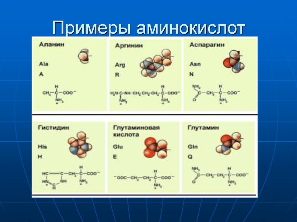 Гца аминокислота. Аминокислоты примеры химия. Амины примеры. Аминокислоты соединения примеры. Первый представитель аминокислот.
