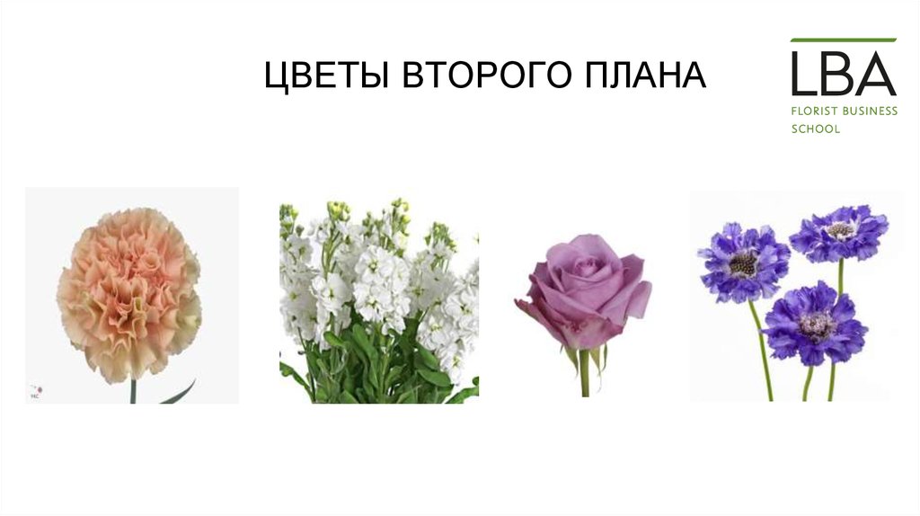 Цветы 2 план. I2 цвет. Несовместимые цветы флорист презентация. Цветочный 2 русский язык.