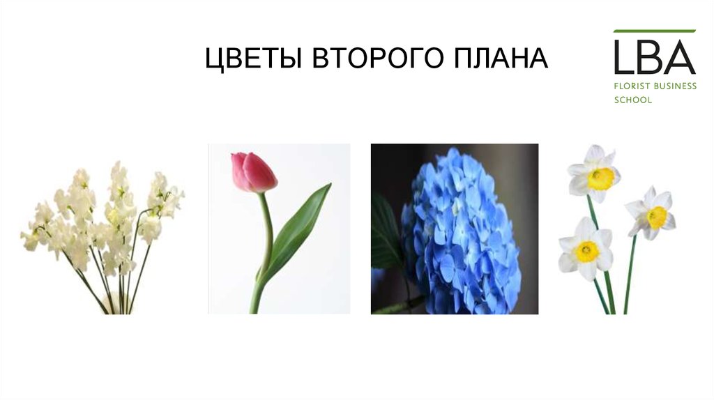 Цветы 2 раза в год