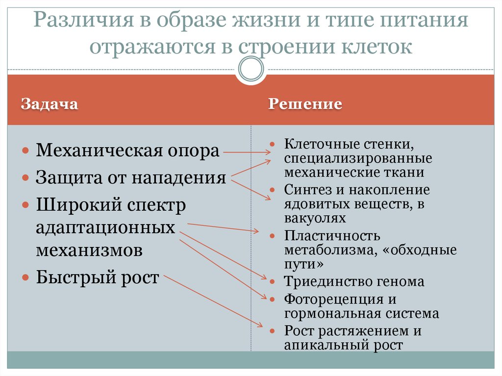 Чем различаются образ жизни. Функции и задачи механич ткани. Отличие образ. Механическая опора и защита клетки. Тайная жизнь клетки задачи проекта.