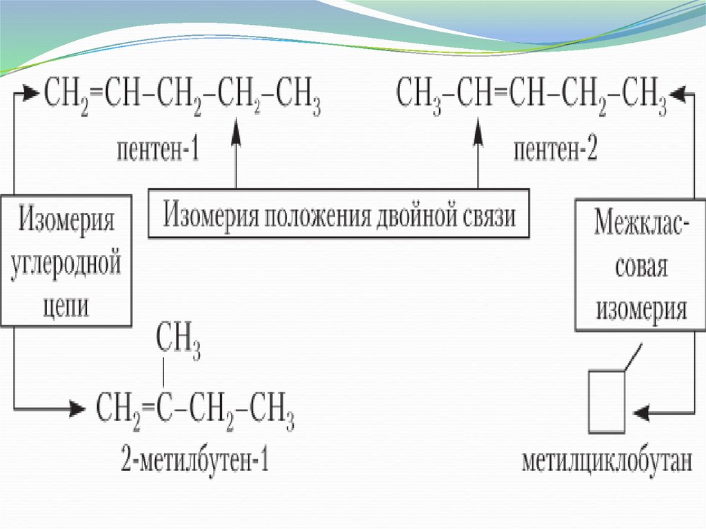 Пентен 1 алкены. Пентен изомеры. Пентен изомерия. Пентен-1 изомерия. Пентен 1 изомеры.