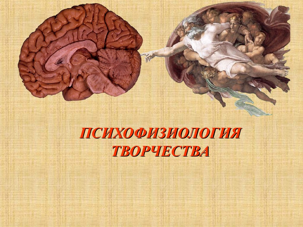 Педагогическая психофизиология презентация