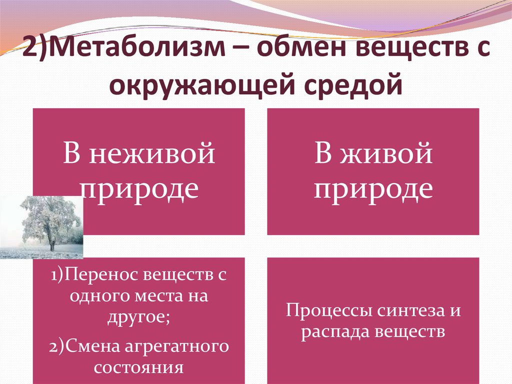 В чем заключается обмен. Обмен веществ в неживой природе. Обмен веществ вне дивой природе. Метаболизм в неживой природе. Обмен веществ живой и неживой природы.