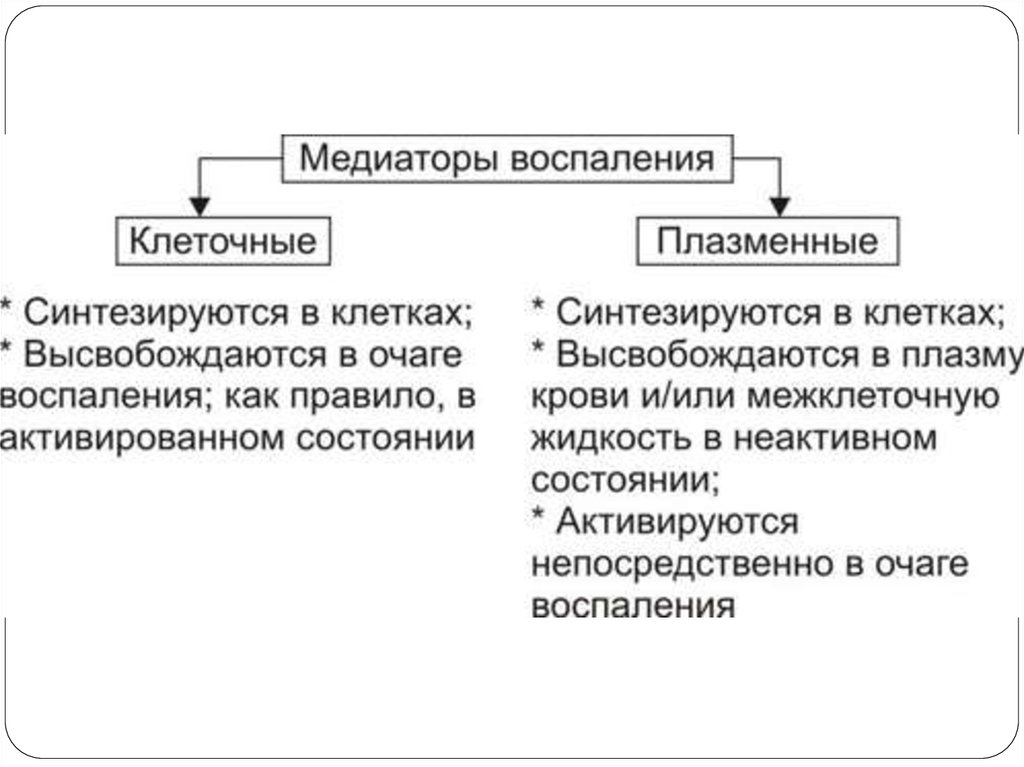 Медиаторы воспаления вызывают схема