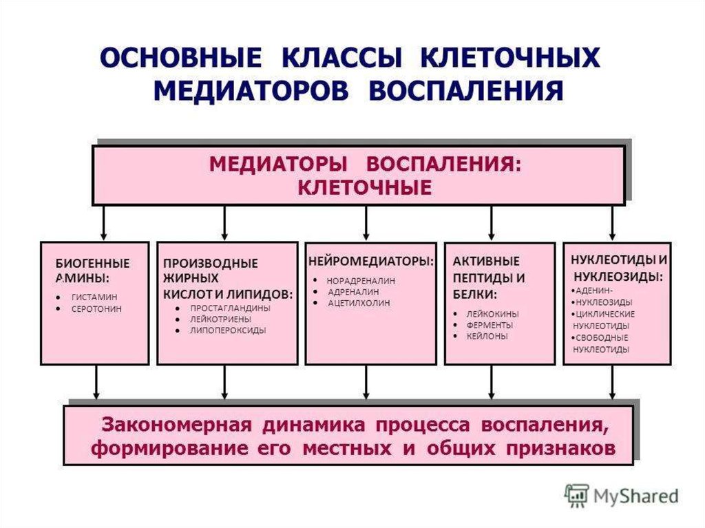 Медиаторы воспаления вызывают схема