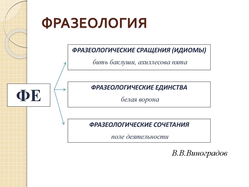 План урока лексика и фразеология 6 класс