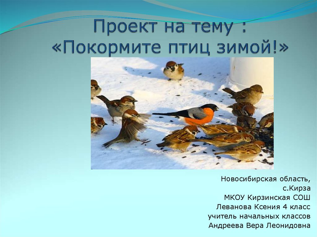 Проект на тему : «Покормите птиц зимой!»