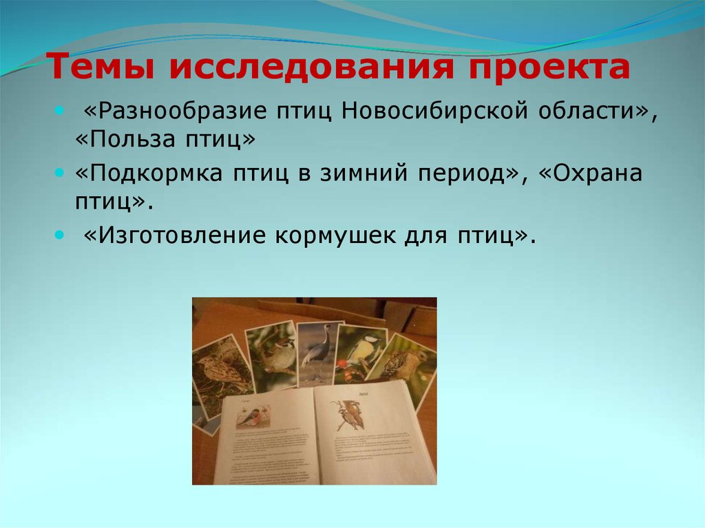 Период охраны. Что такое исследование в проекте. Темы исследовательских проектов. Проект исследование на тему наша речь. Место проведения исследования в проекте.