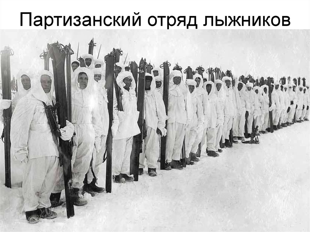Партизанский отряд лыжников