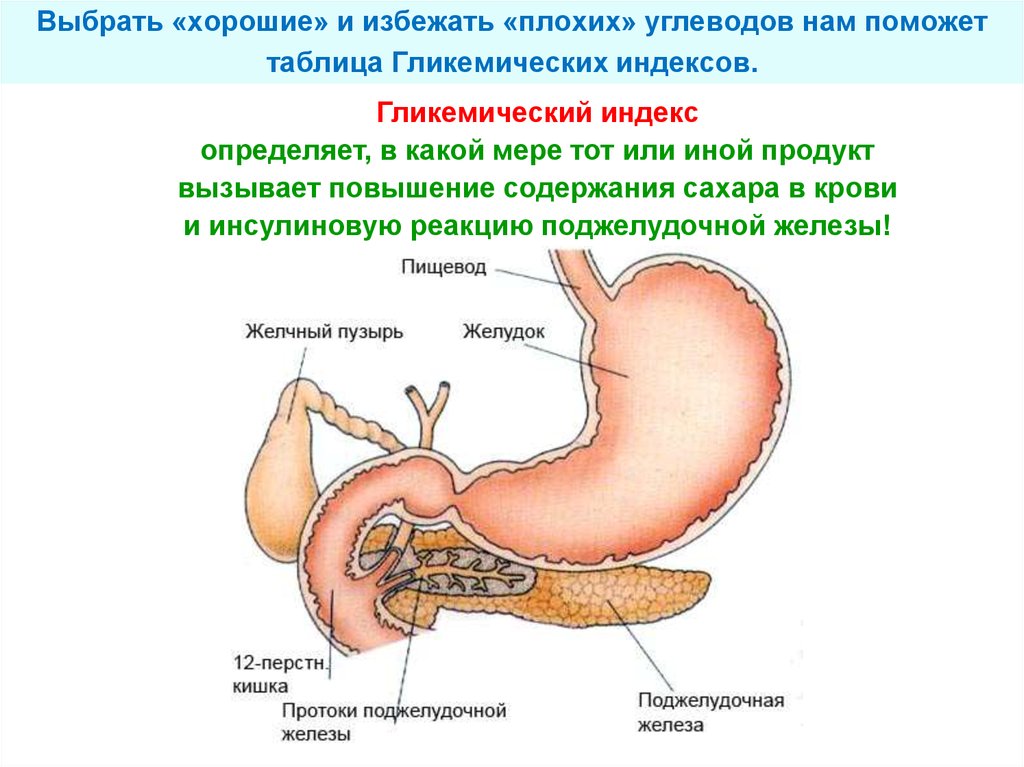 Инсулин поджелудочной железы