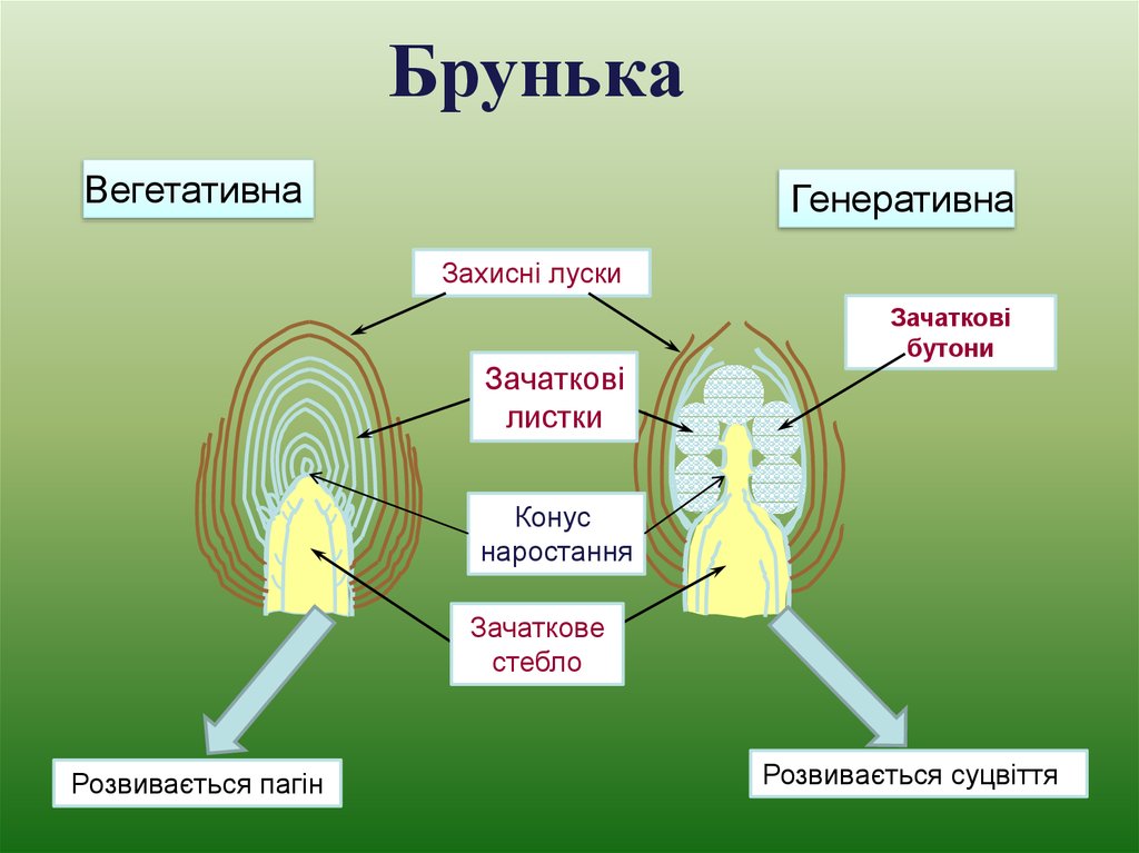 Генеративная заливка как включить