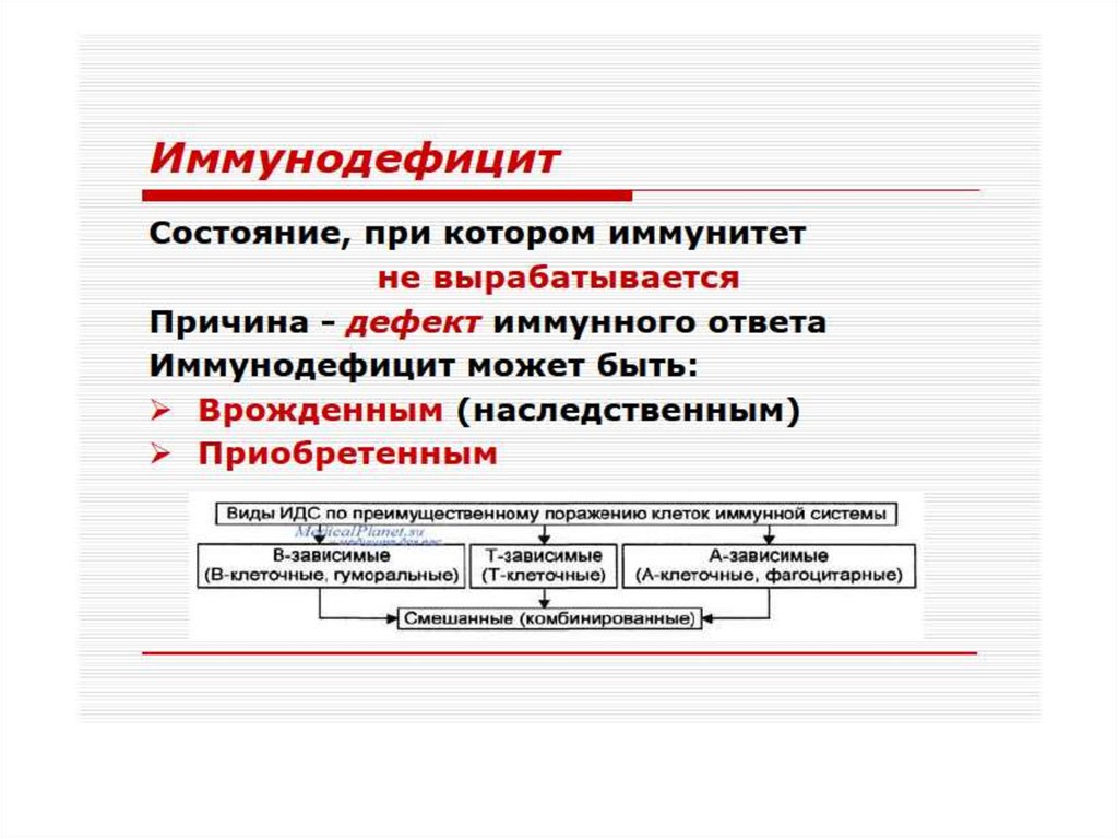 Иммунопатология патофизиология презентация