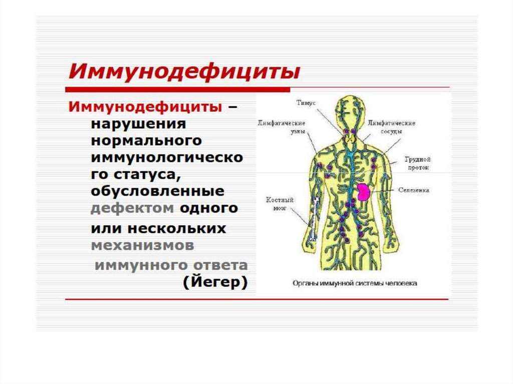 Иммунопатология патофизиология презентация