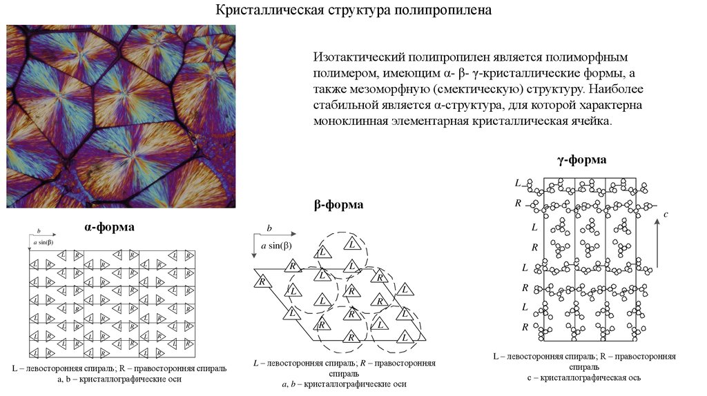 Структура схем полиморфна