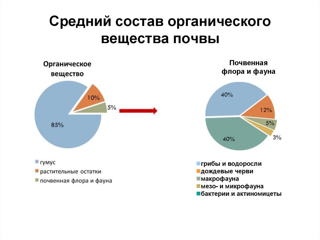 Источники органических веществ. Средний состав органического вещества почвы. Схема состава органического вещества почвы. Органическое вещество почвы. Источники органического вещества в почве.